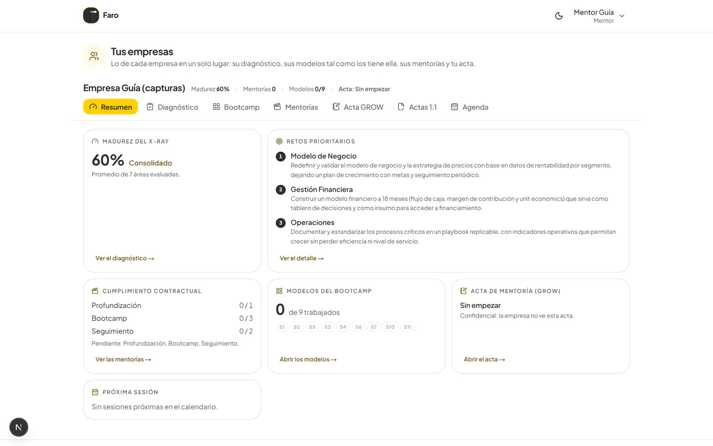 Resumen de una empresa en el espacio del mentor
